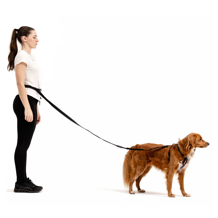 Black Denim: Road Runner Leash