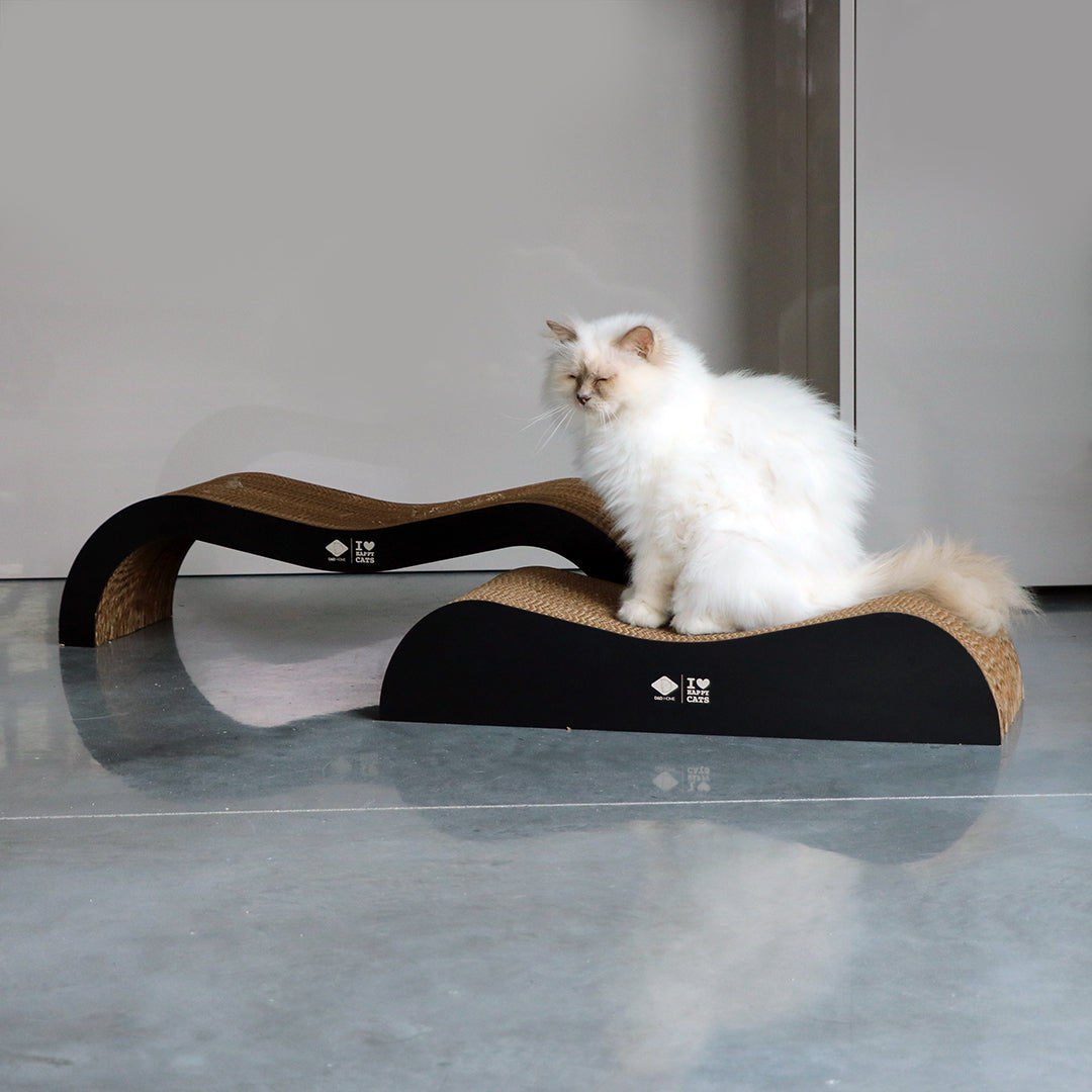ARCHIE - Cardboard scratcher lounge (2pcs) Brown/black