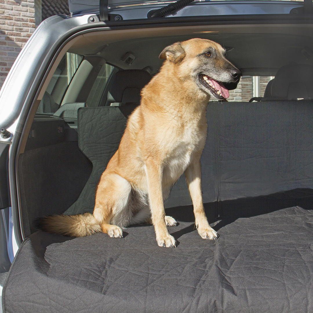 Car Trunk Cover