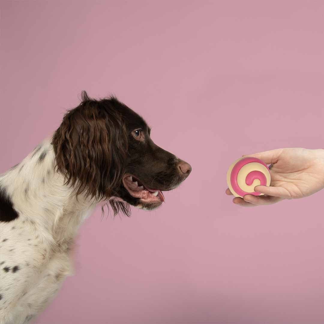 Dog toy BERRY SWIRL