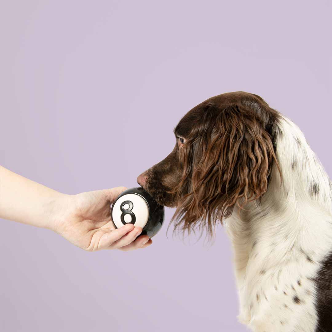 Snackball EIGHT