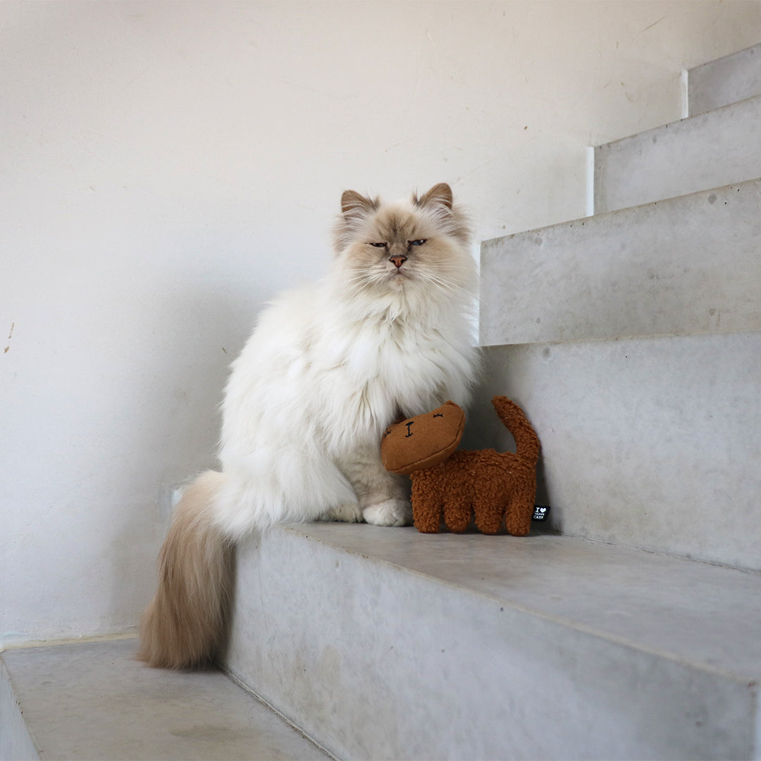 ZOEY - Refillable cat kicking cushion Brown