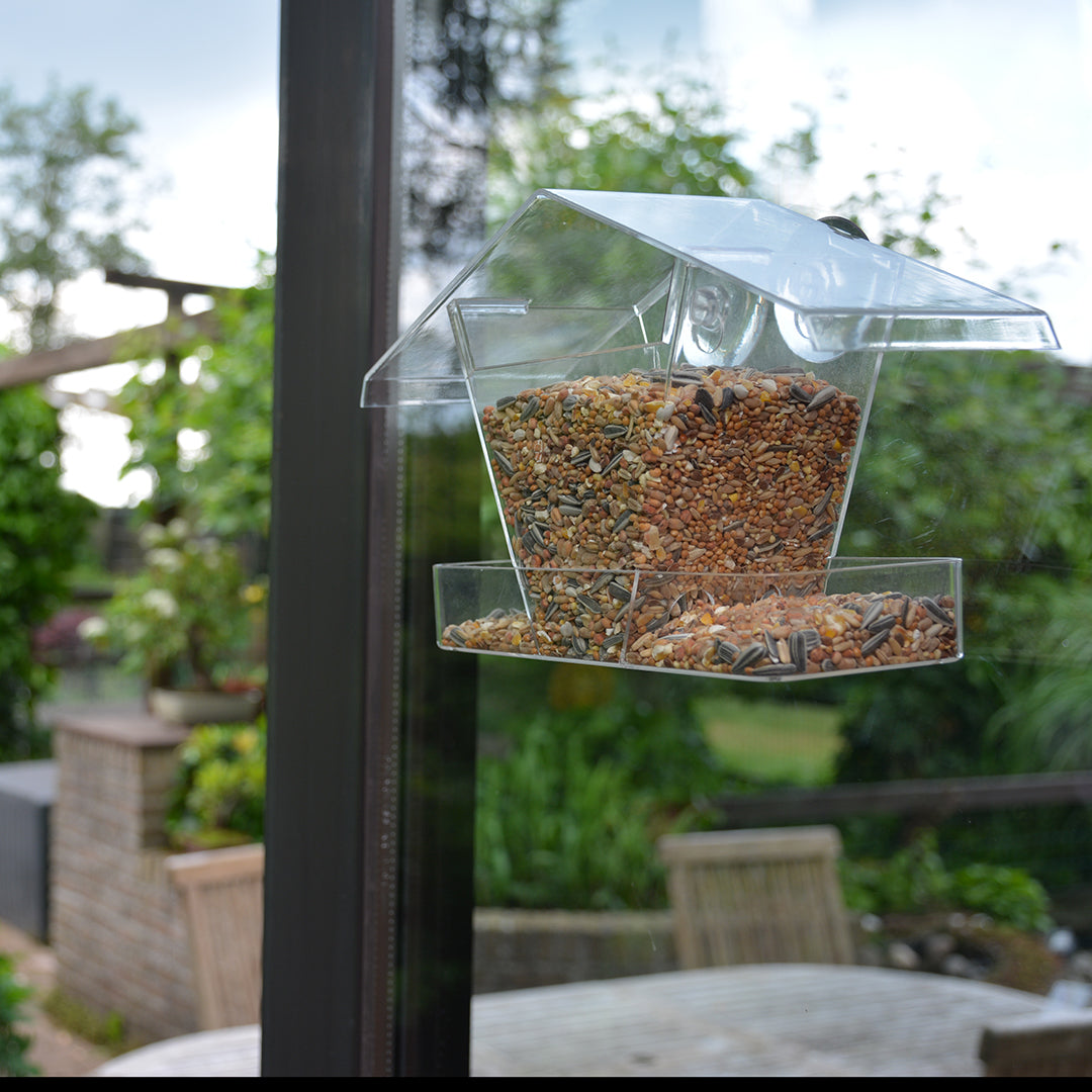 Garden Birds Feeder Bilbao
