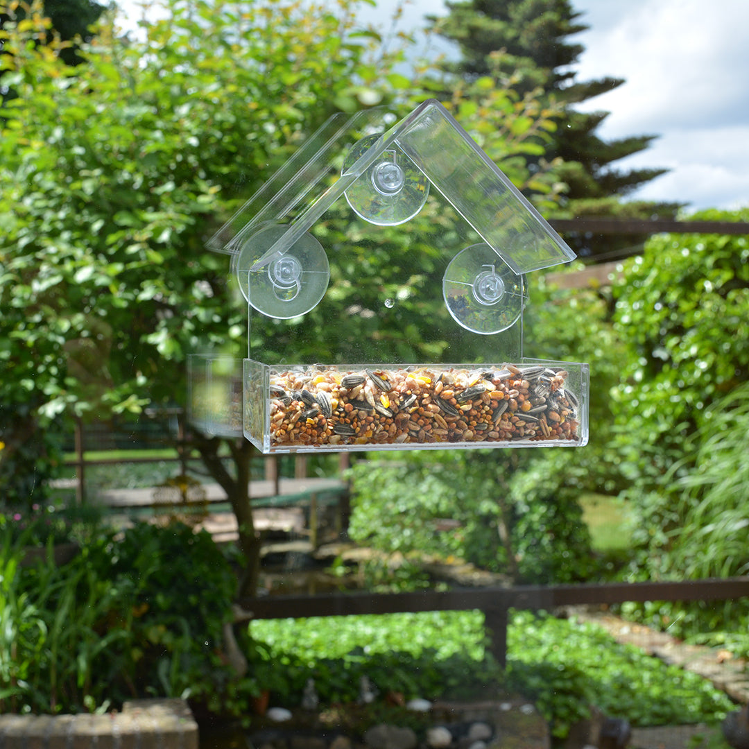 Garden Birds Feeder Paris