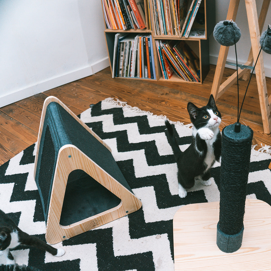 Toto Cat House