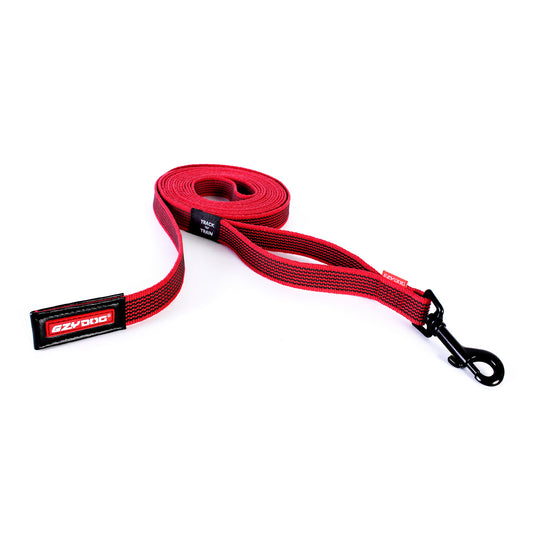 Track and Train Leash
