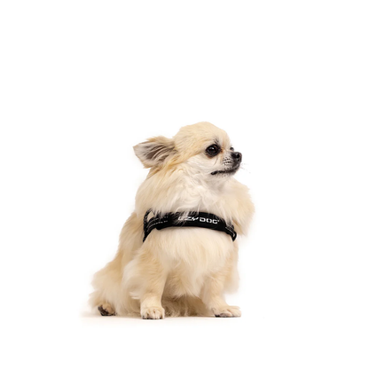 Black Denim: Quick Fit Harness
