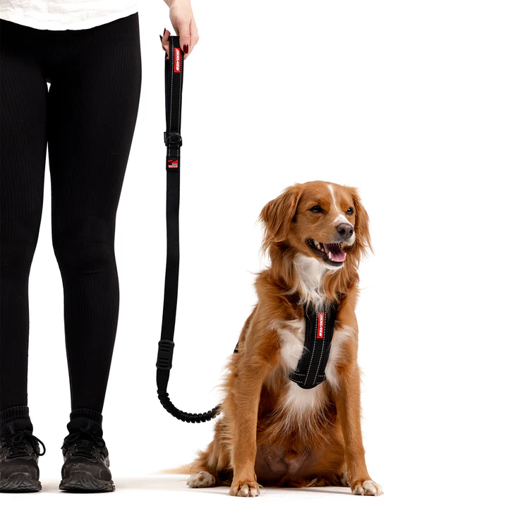 Black Denim: Zero Shock Leash