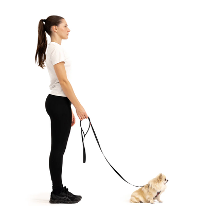 Essential Leash