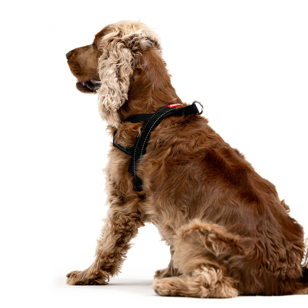 Black Denim: Quick Fit Harness