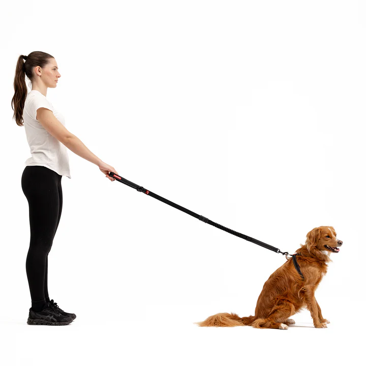Black Denim: Zero Shock Leash