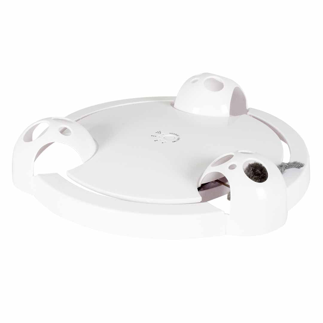 360 Spin 'N Catch Toy