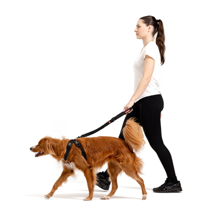 Black Denim: Chest Plate Harness