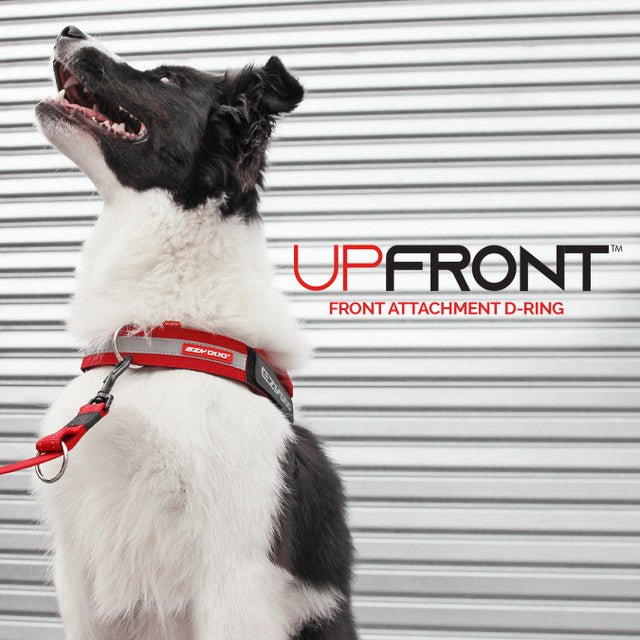 UpFront D Ring Attachment