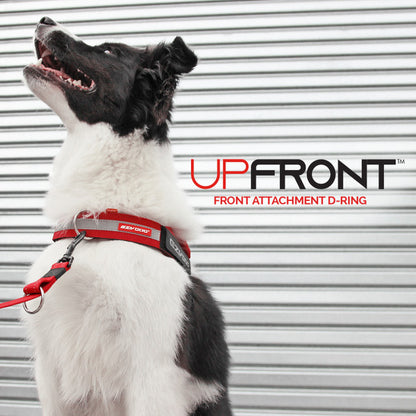 UpFront D Ring Attachment