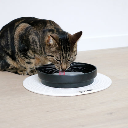 ACE - Drinking bowl