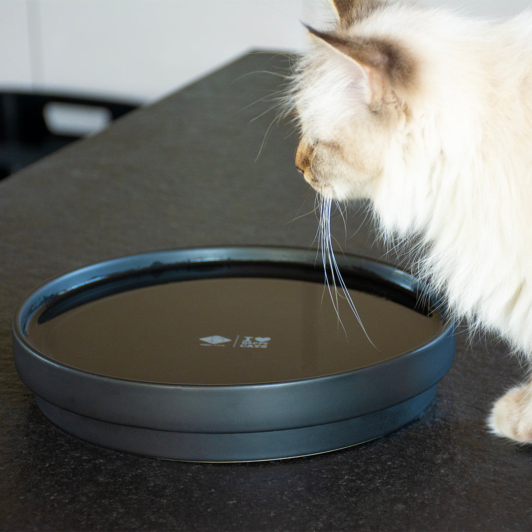 ACE - Drinking bowl