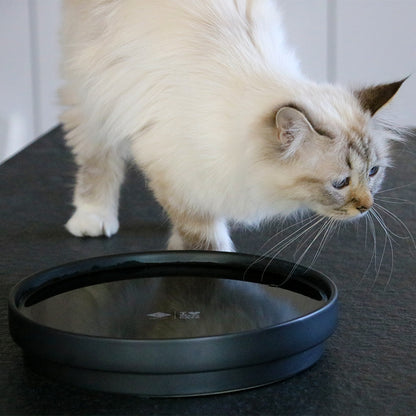 ACE - Drinking bowl