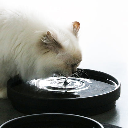 ACE - Drinking bowl