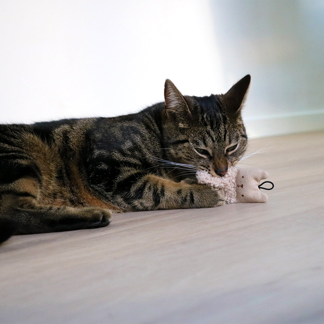 ALFIE - Cat toy display Mixed colors