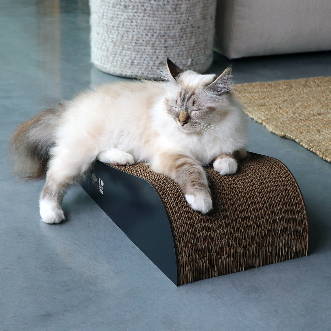 ARCHIE - Cardboard scratcher lounge (2pcs) Brown/black