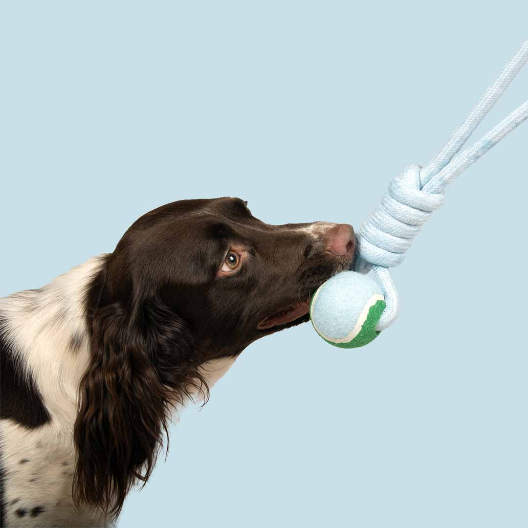 Ball with rope loop