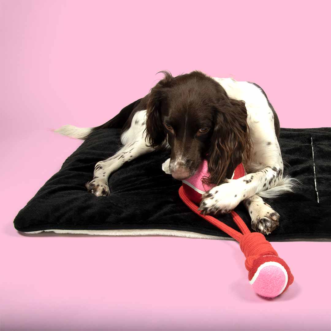 Ball with rope loop