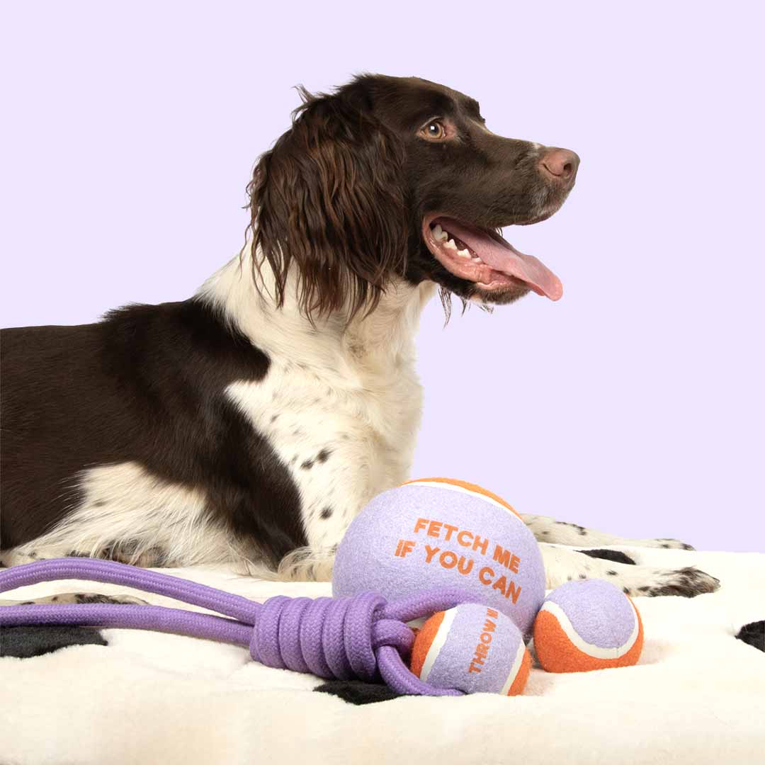 Ball with rope loop