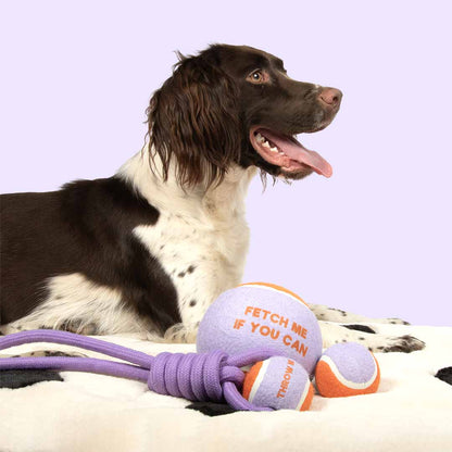 Ball with rope loop