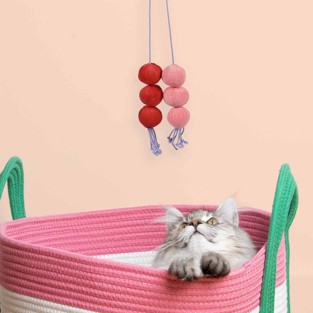 Balls DIZZY DANGLE