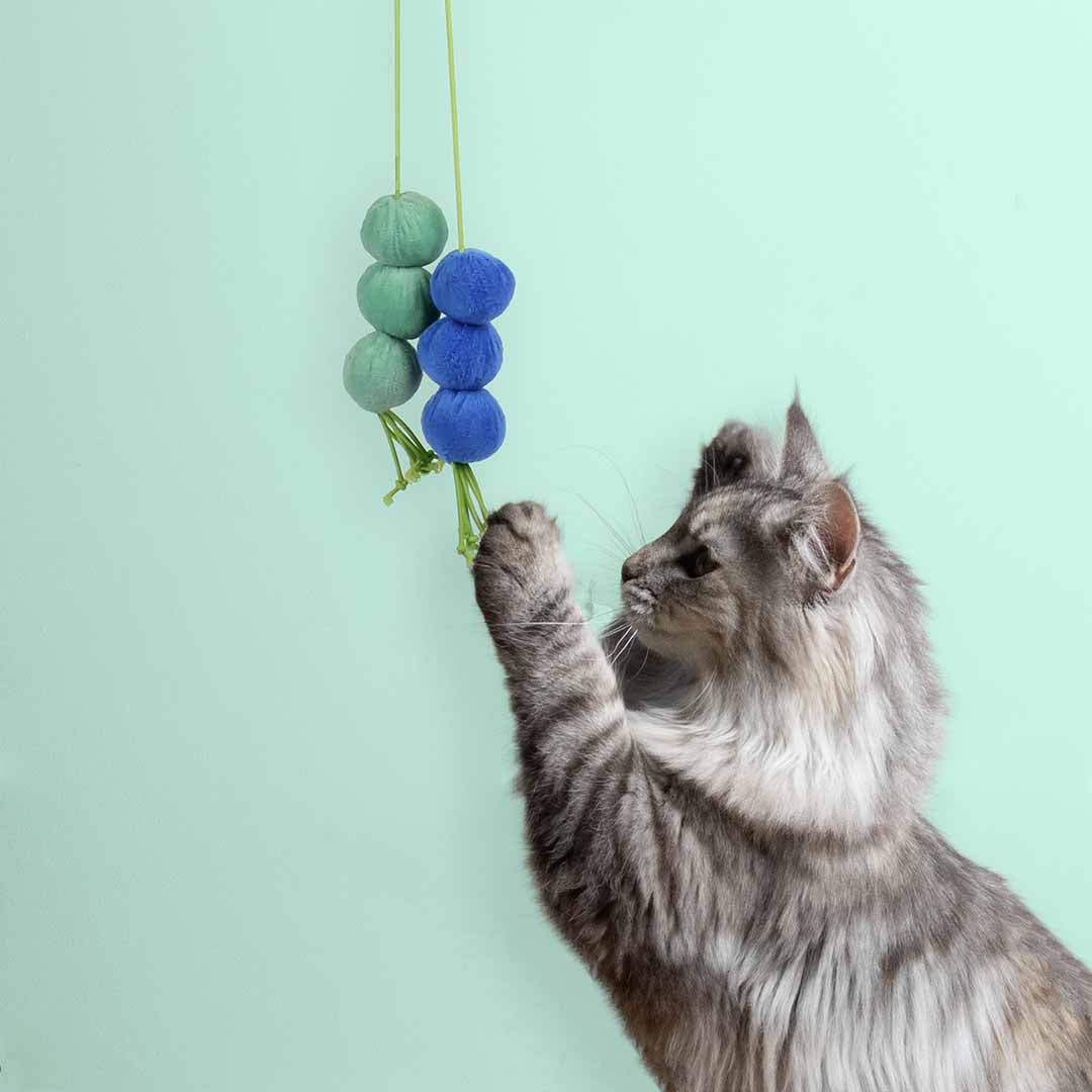 Balls DIZZY DANGLE