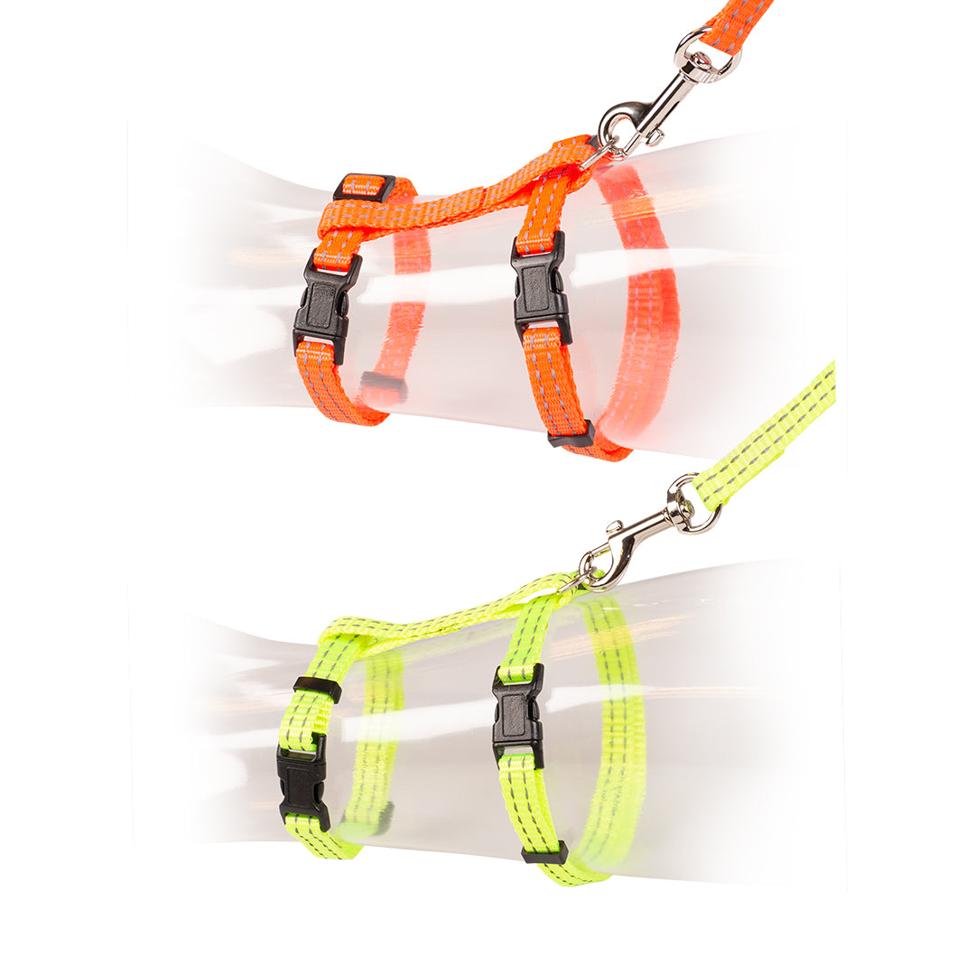 Big Cat Walking Set Reflective Uni (Neon)