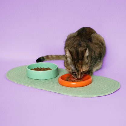 Bowl Funky Feeding