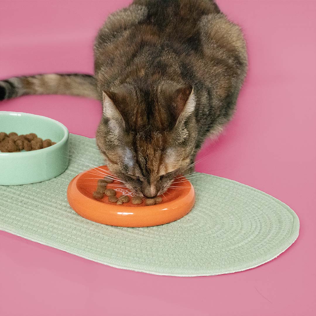 Bowl Funky Feeding