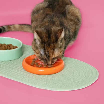 Bowl Funky Feeding