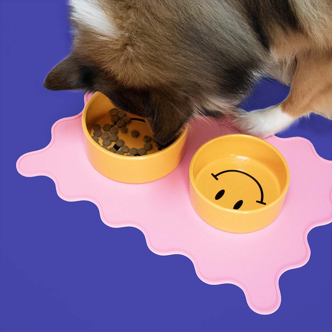 Bowl Smiley