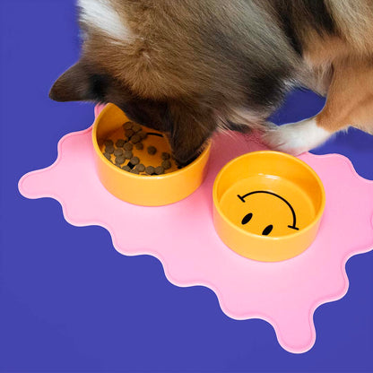Bowl Smiley