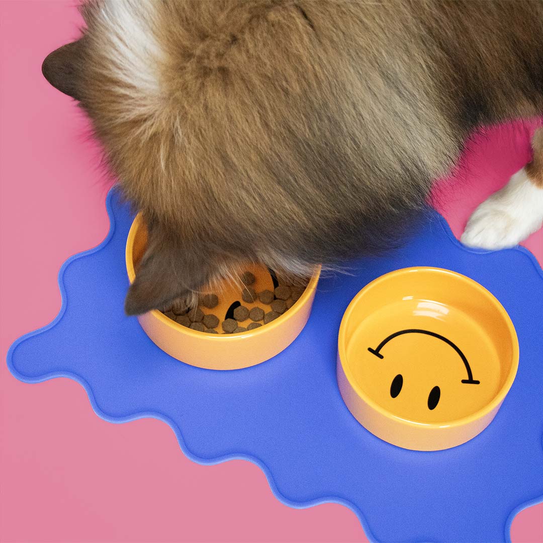 Bowl Smiley