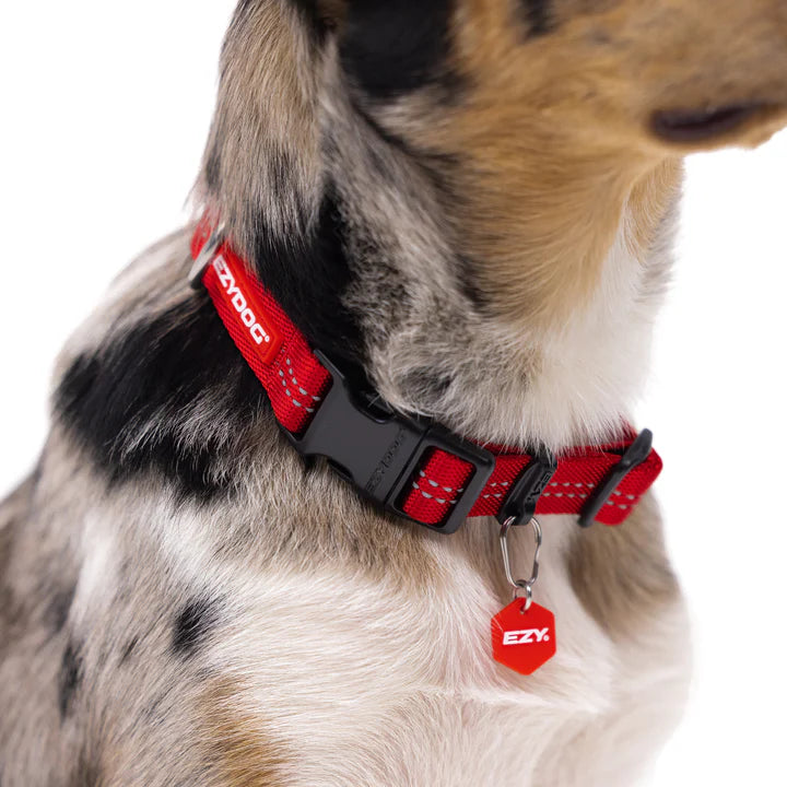 Essential Adjustable Collar