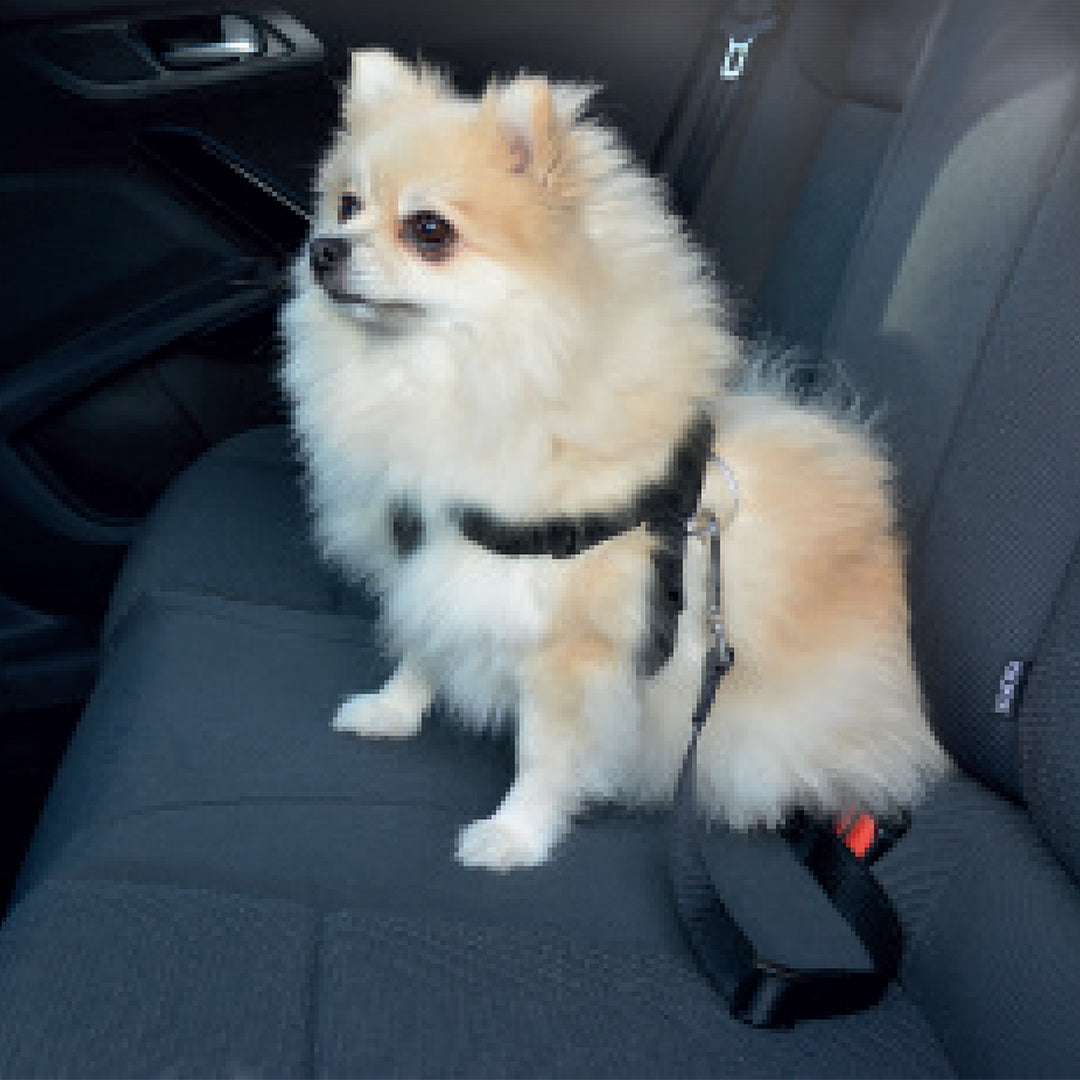 Car Dog Safety Belt Harness