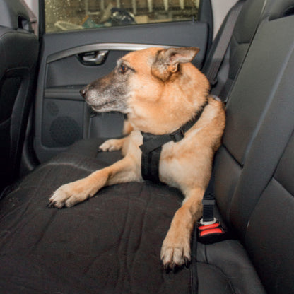 Car Dog Safety Belt Harness