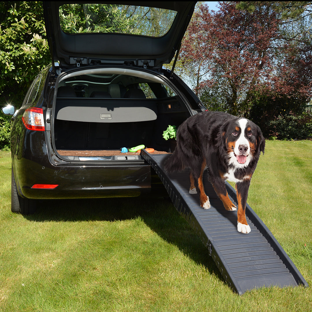Car Ramp Plastic Easy Step (Up To 50Kg)
