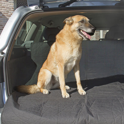 Car Trunk Cover
