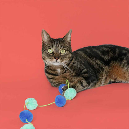 Cat rod JOLLY JUMPER Blue
