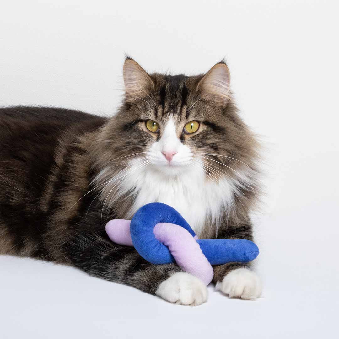 Cat toy KNOTTY NOODLE Mixed colors