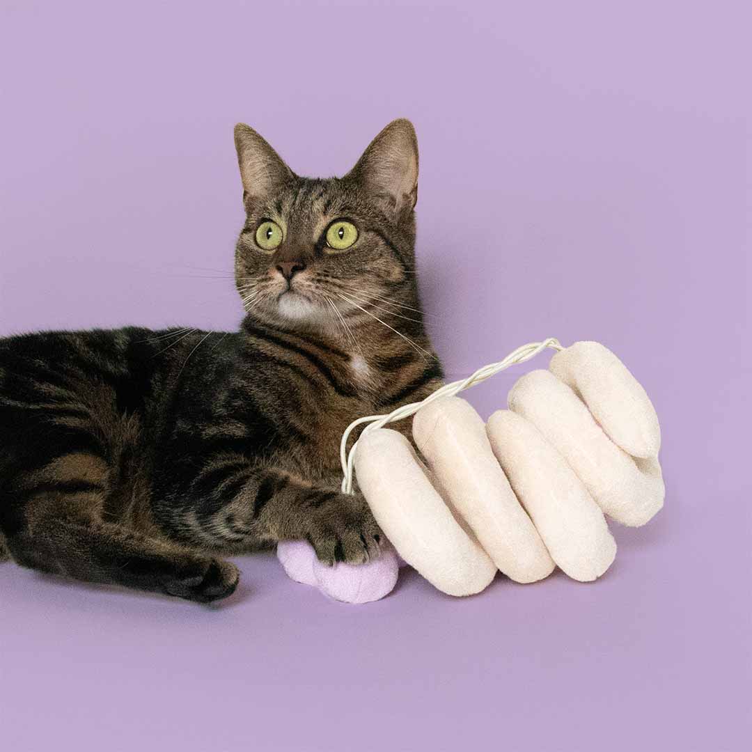 Cat toy TWISTER