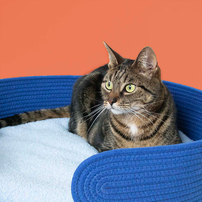 Cat Basket Lazy Lounge