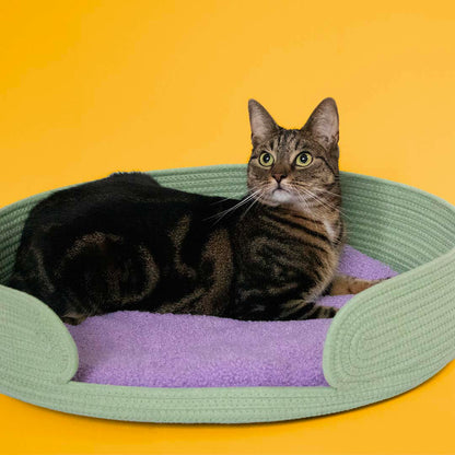 Cat Basket Lazy Lounge