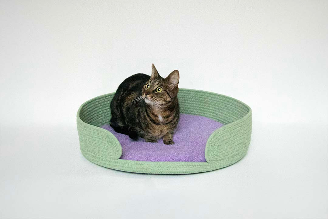 Cat Basket Lazy Lounge
