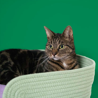 Cat Basket Lazy Lounge